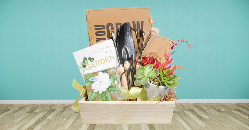 plant lover gifts