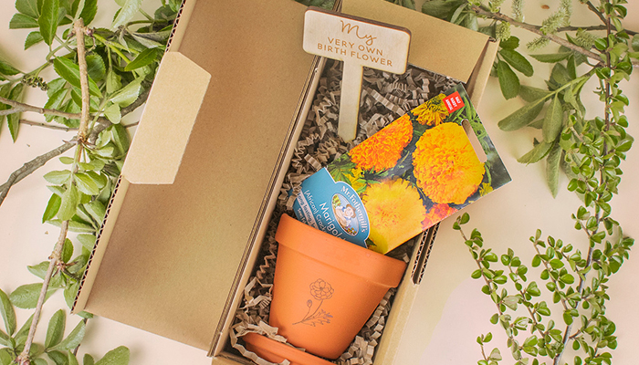 Birth Month Flower Grow Kit