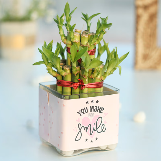 Customized plant pots