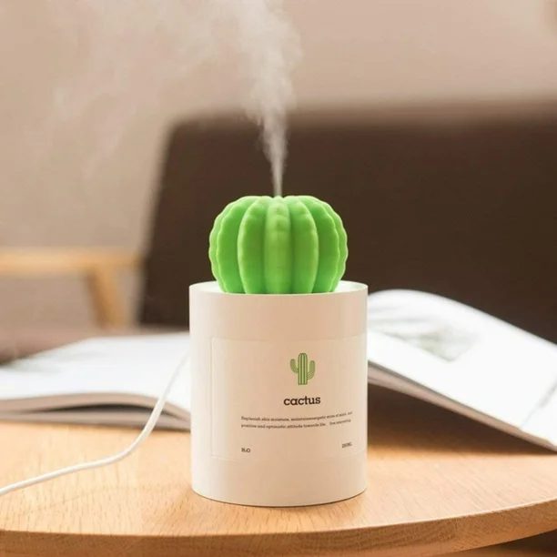 Mini cactus humidifier 