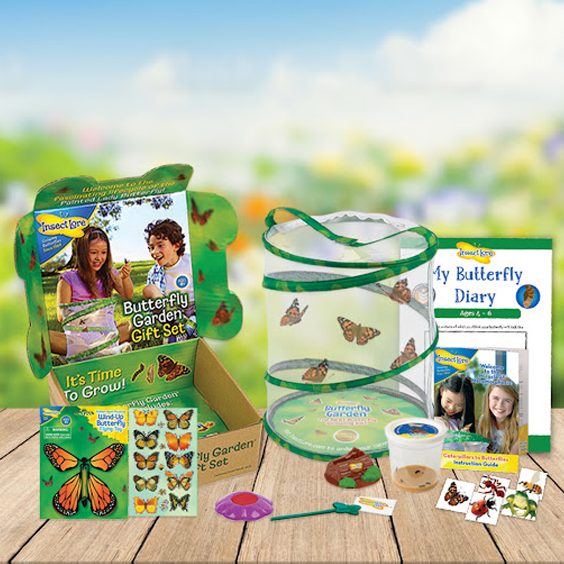 Butterflier grower kit