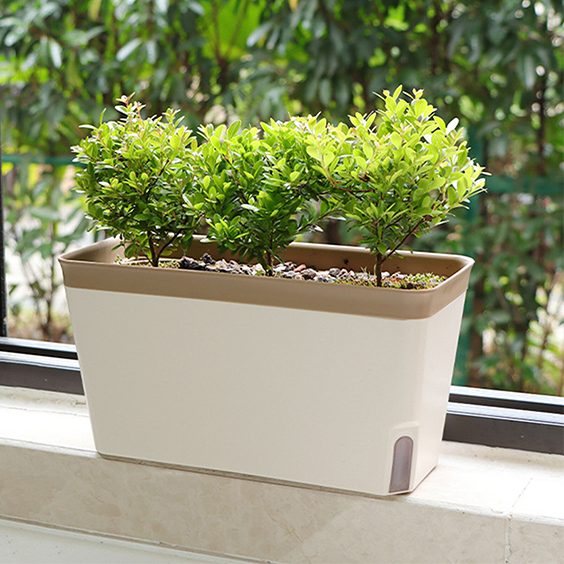 Plant box