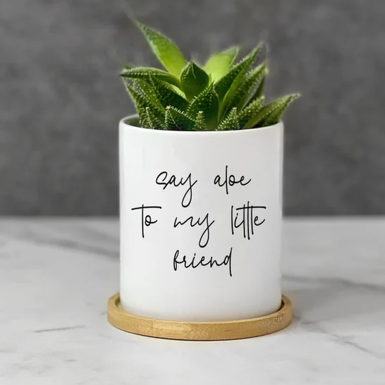 Thank you, Doctor Plant Pot